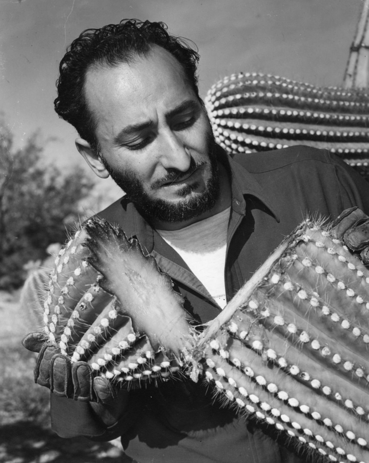 Ted DeGrazia